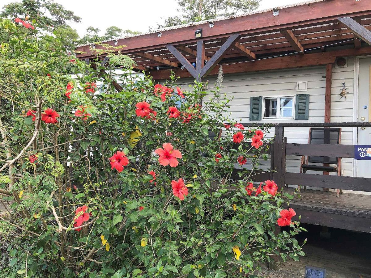 Panorama Ocean View Cottage Motobu Exterior photo